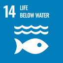 SDG 14 - Life Below Water